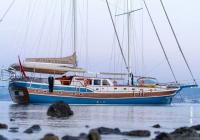bateau à moteur Custom built 183 Bodrum Turquie