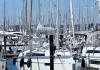 Bavaria Cruiser 37 2018  location bateau à voile Allemagne